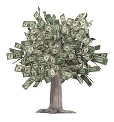 money tree